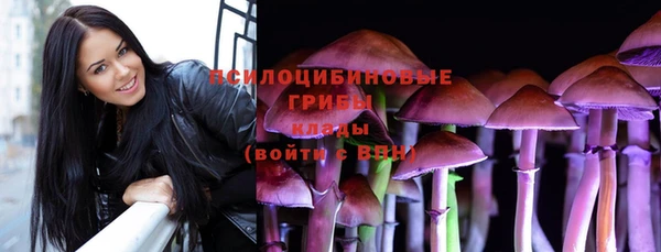 МДПВ Верея