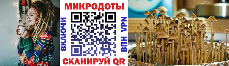 Галлюциногенные грибы GOLDEN TEACHER  закладки  Камешково 